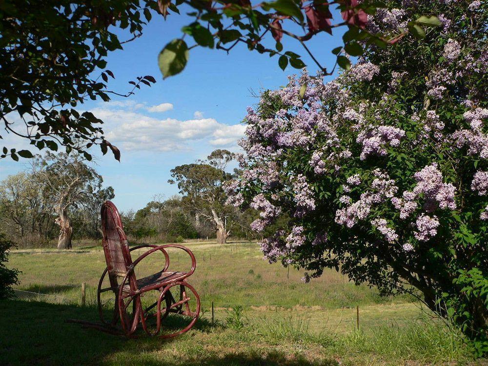 Redcliffe House Colonial Bed & Breakfast Swansea Eksteriør billede