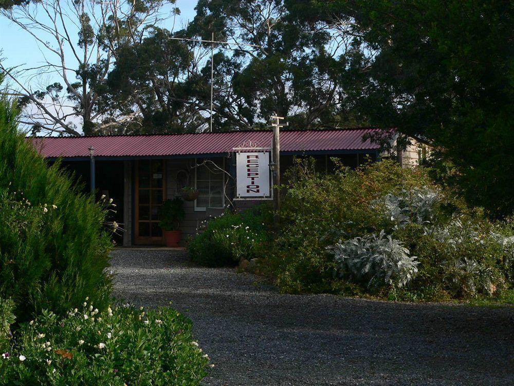 Redcliffe House Colonial Bed & Breakfast Swansea Eksteriør billede